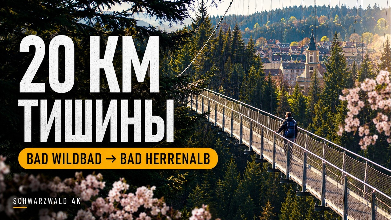 Обложка фильма: 20 километров по Шварцвальду